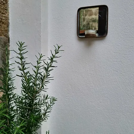 Charming Old Town House & Peaceful Patio Holiday home